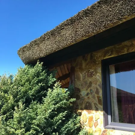 Homestay Goscinne Drzewiec *